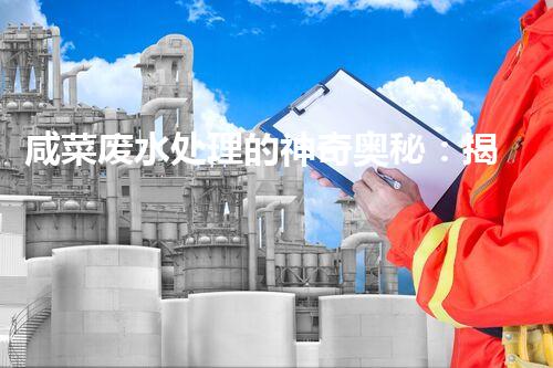 咸菜废水处理的神奇奥秘：揭秘高效净化新技术！