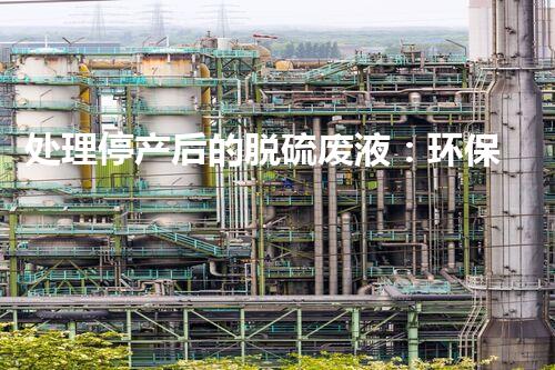 处理停产后的脱硫废液：环保措施及经济效益