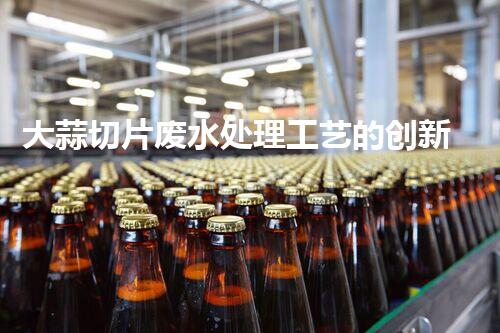 大蒜切片废水处理工艺的创新与未来？