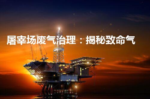 屠宰场废气治理：揭秘致命气体，保护环境与生命！