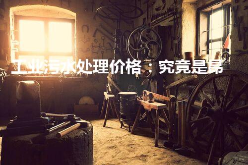 工业污水处理价格：究竟是昂贵的投资还是可持续发展的关键？