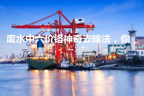 废水中六价铬神奇去除法，你敢不敢试一试？