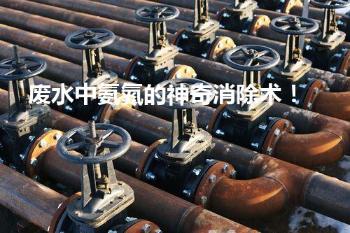 废水中氨氮的神奇消除术！