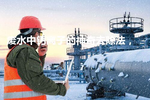 废水中钙离子的神奇去除法，你绝对想不到！