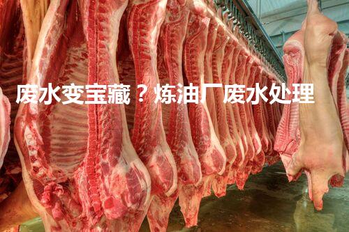 废水变宝藏？炼油厂废水处理新技术揭秘