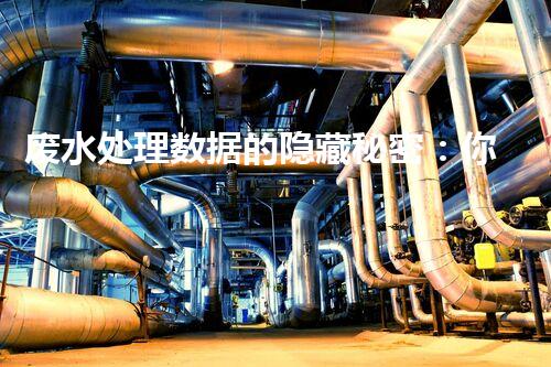 废水处理数据的隐藏秘密：你不明白的那些事？