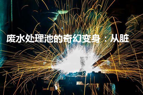 废水处理池的奇幻变身：从脏水到清澈之源？