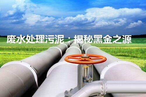 废水处理污泥：揭秘黑金之源，你知道它们能变废为宝吗？