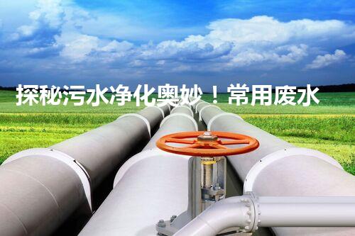 探秘污水净化奥妙！常用废水处理方法大揭秘？