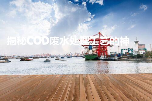 揭秘COD废水处理工艺的神奇转化之旅？