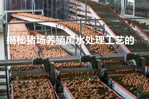 揭秘猪场养殖废水处理工艺的以后之路？探索新技术与环保的完满结合！