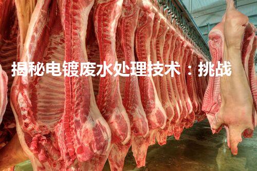 揭秘电镀废水处理技术：挑战与机遇并存？