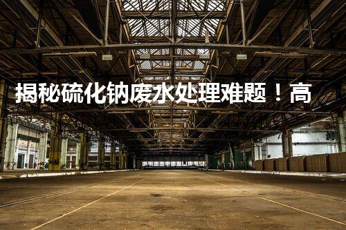 揭秘硫化钠废水处理难题！高效低耗新技术究竟藏着什么秘密？