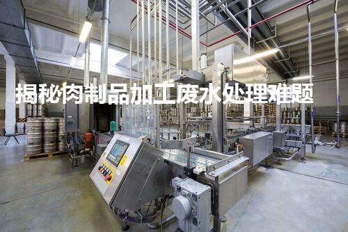 揭秘肉制品加工废水处理难题！高效低耗的秘诀究竟是什么？