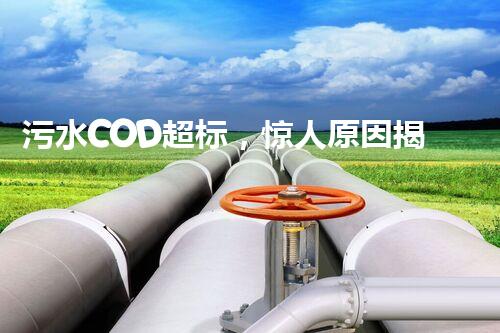 污水COD超标，惊人原因揭秘！