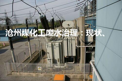 沧州煤化工废水治理：现状、挑战与前景