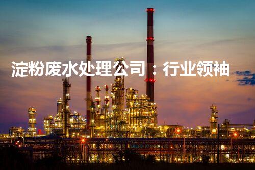 淀粉废水处理公司：行业领袖巴洛仕的环保新篇章？