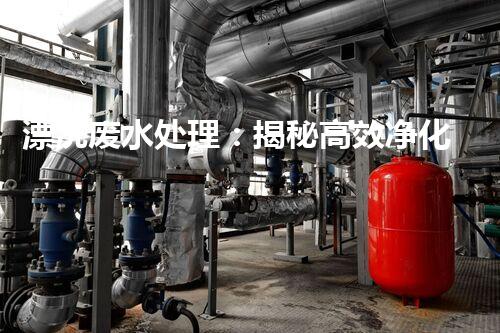 漂洗废水处理：揭秘高效净化的前沿技术！