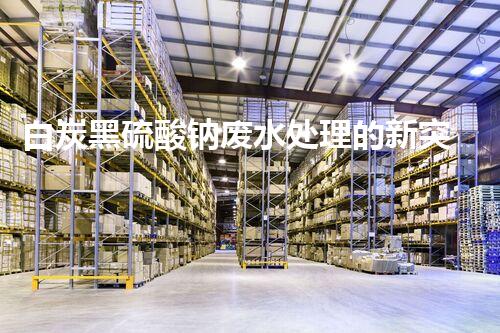 白炭黑硫酸钠废水处理的新突破：如何将污染变为资源？