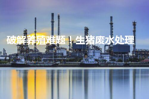 破解养殖难题！生猪废水处理的创新之路？