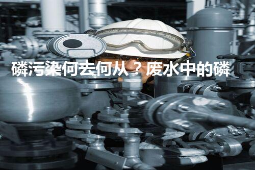 磷污染何去何从？废水中的磷问题有解吗？