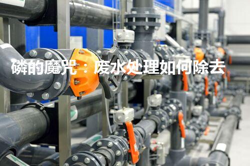 磷的魔咒：废水处理如何除去这个环境杀手？