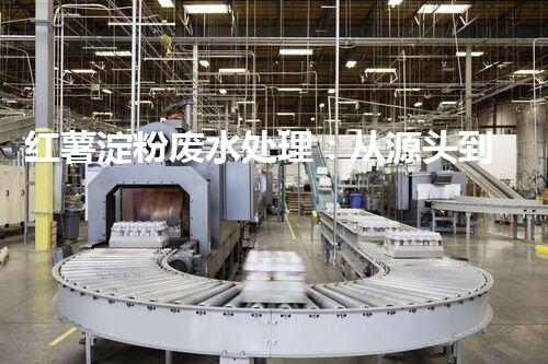 红薯淀粉废水处理：从源头到终端的绿色革命？