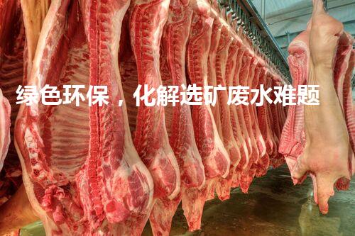 绿色环保，化解选矿废水难题！