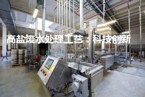 高盐废水处理工艺：科技创新解决环境难题？